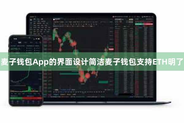 麦子钱包App的界面设计简洁麦子钱包支持ETH明了