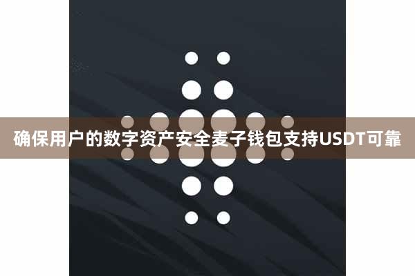 确保用户的数字资产安全麦子钱包支持USDT可靠