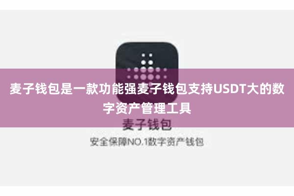 麦子钱包是一款功能强麦子钱包支持USDT大的数字资产管理工具