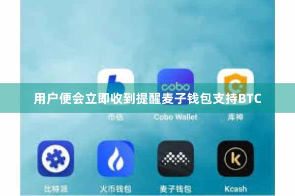 用户便会立即收到提醒麦子钱包支持BTC