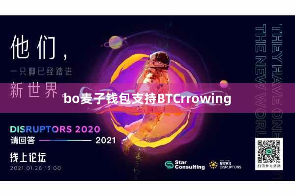 bo麦子钱包支持BTCrrowing