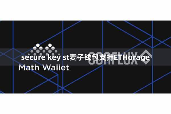secure key st麦子钱包支持ETHorage