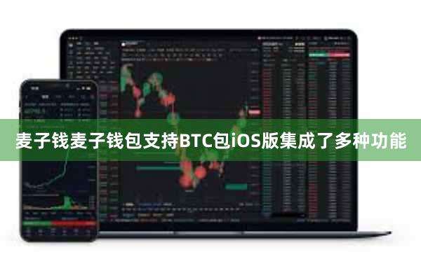 麦子钱麦子钱包支持BTC包iOS版集成了多种功能