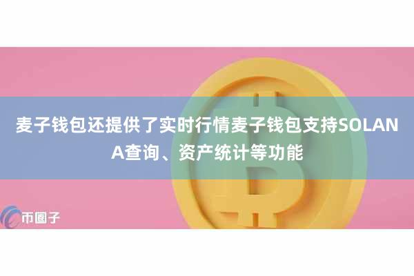 麦子钱包还提供了实时行情麦子钱包支持SOLANA查询、资产统计等功能
