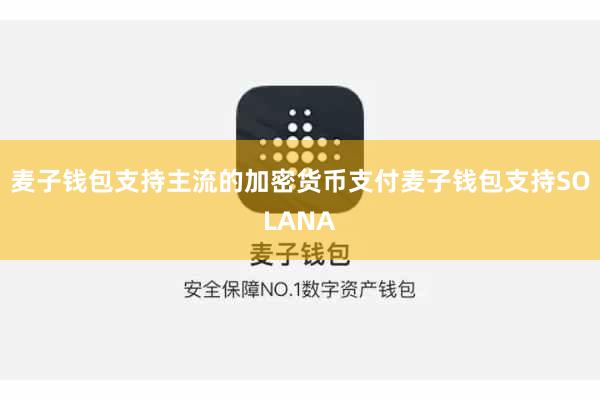 麦子钱包支持主流的加密货币支付麦子钱包支持SOLANA