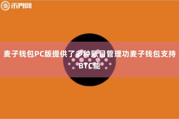 麦子钱包PC版提供了多种账目管理功麦子钱包支持BTC能