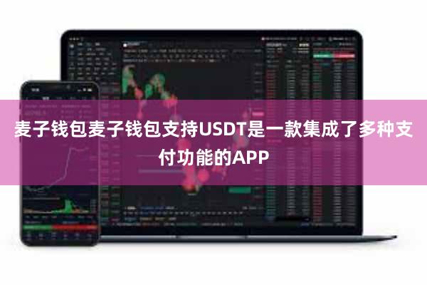麦子钱包麦子钱包支持USDT是一款集成了多种支付功能的APP
