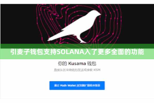 引麦子钱包支持SOLANA入了更多全面的功能