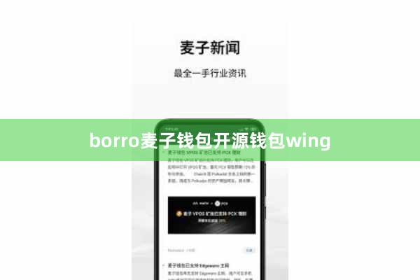 borro麦子钱包开源钱包wing