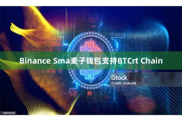Binance Sma麦子钱包支持BTCrt Chain
