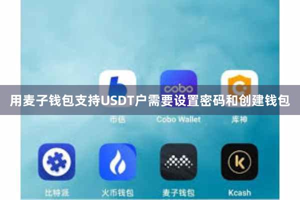用麦子钱包支持USDT户需要设置密码和创建钱包