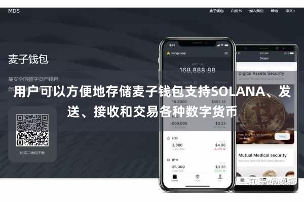 用户可以方便地存储麦子钱包支持SOLANA、发送、接收和交易各种数字货币