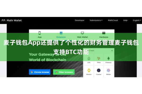 麦子钱包App还提供了个性化的财务管理麦子钱包支持BTC功能