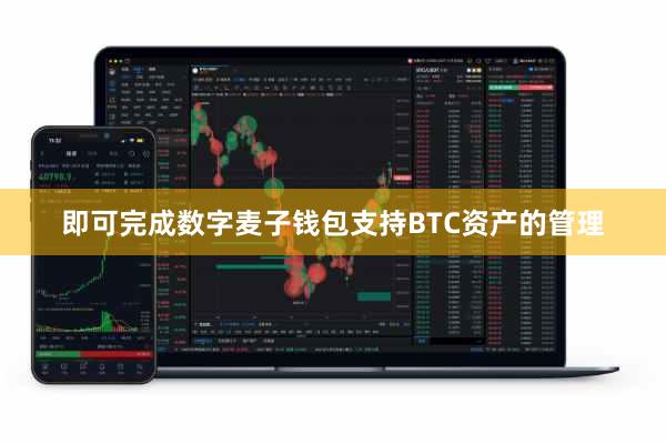 即可完成数字麦子钱包支持BTC资产的管理